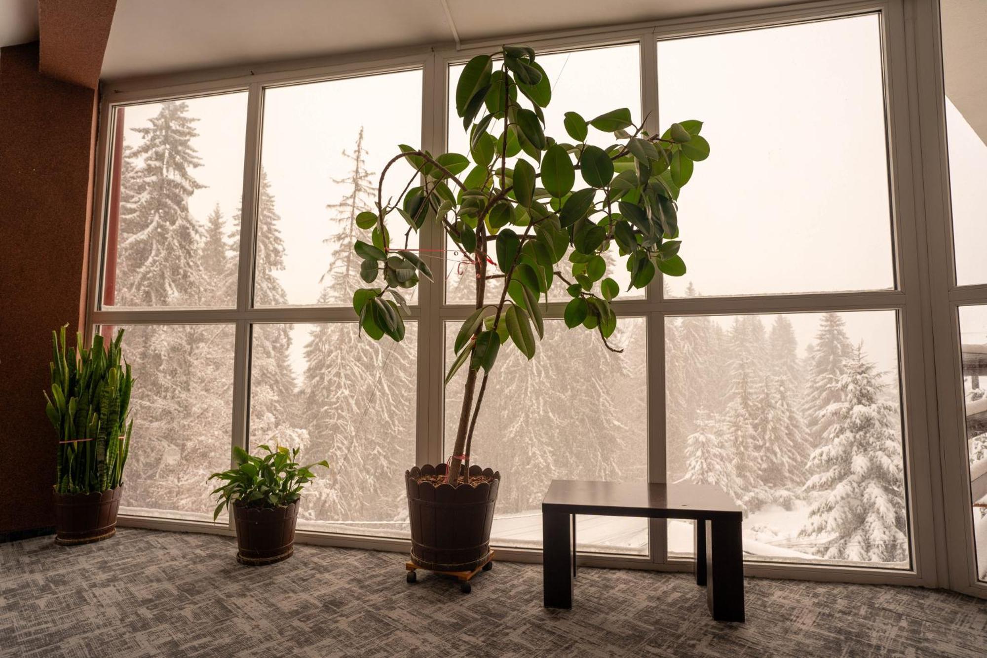 Villa Select Predeal Buitenkant foto